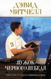 книга Лужок черного лебедя (Блэк Свон Грин)