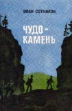 книга Чудо-камень