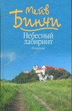 книга Небесный лабиринт. Искушение