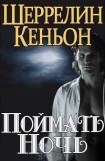 книга Поймать ночь