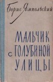 книга Мальчик с Голубиной улицы