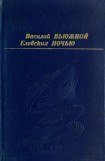 книга Вьюжной ночью