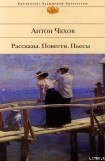 книга Розовый чулок