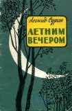 книга Летним вечером