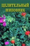 книга Целительный шиповник