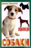 книга Энциклопедия собаки. Охотничьи собаки