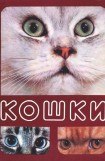 книга Кошки