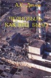 книга Чернобыль. Как это было