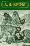 книга Жизнь животных Том I Млекопитающие