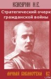 книга Стратегический очерк гражданской войны