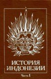 книга История Индонезии. Часть 1