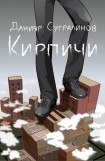 книга Кирпичи