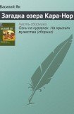 книга Загадка озера Кара-Нор