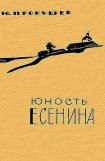 книга Юность Есенина