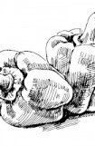 книга Холодцы, заливные и фаршированные блюда. 1000 лучших рецептов