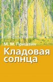 книга Кладовая солнца