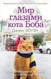 книга Мир глазами кота Боба. Новые приключения человека и его рыжего друга