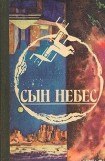 книга Сын небес