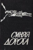 книга Синяя дорога