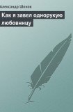 книга Как я завел однорукую любовницу